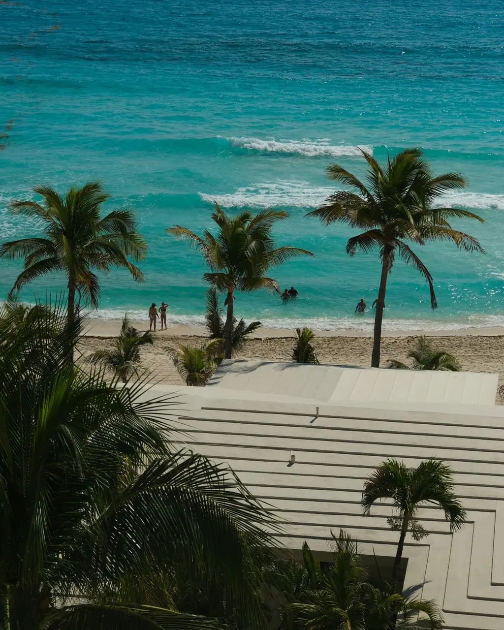 Palm trees facing the turquoise sea in the Cancún Hotel Zone
