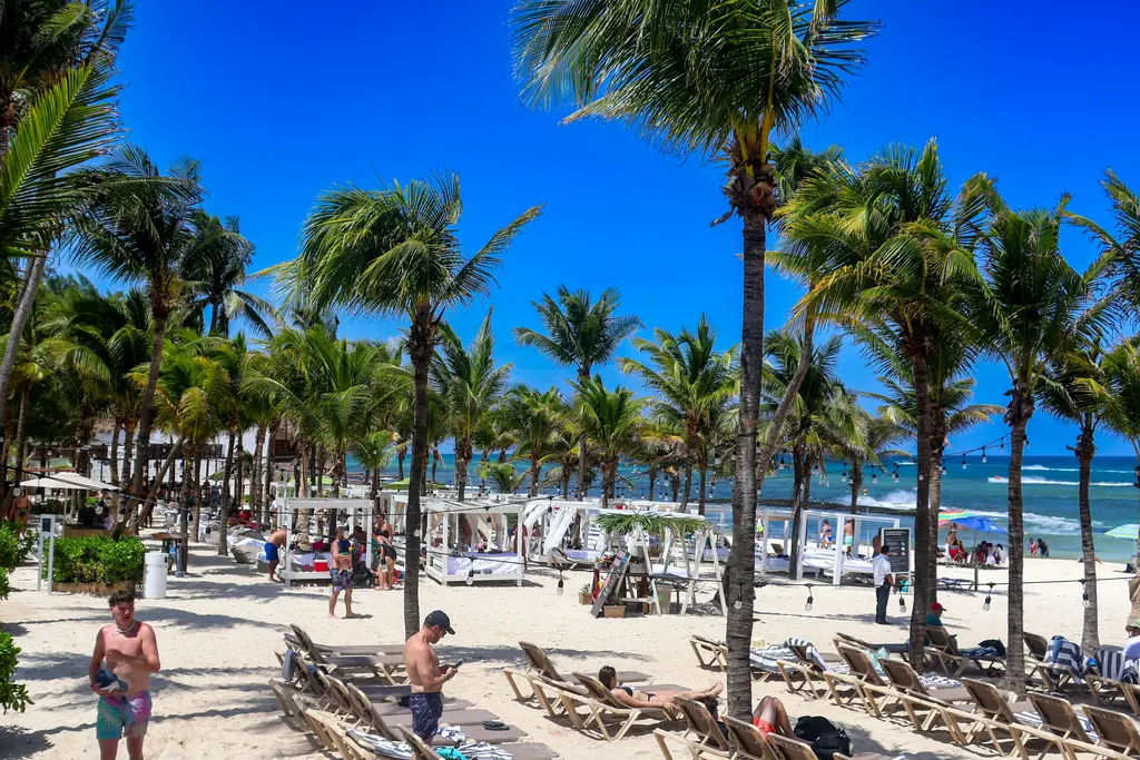 Palm-lined hotel beach in Playa del Carmen