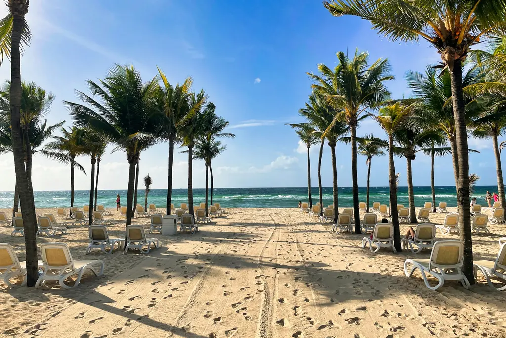 Palm-lined beach in Playa del Carmen