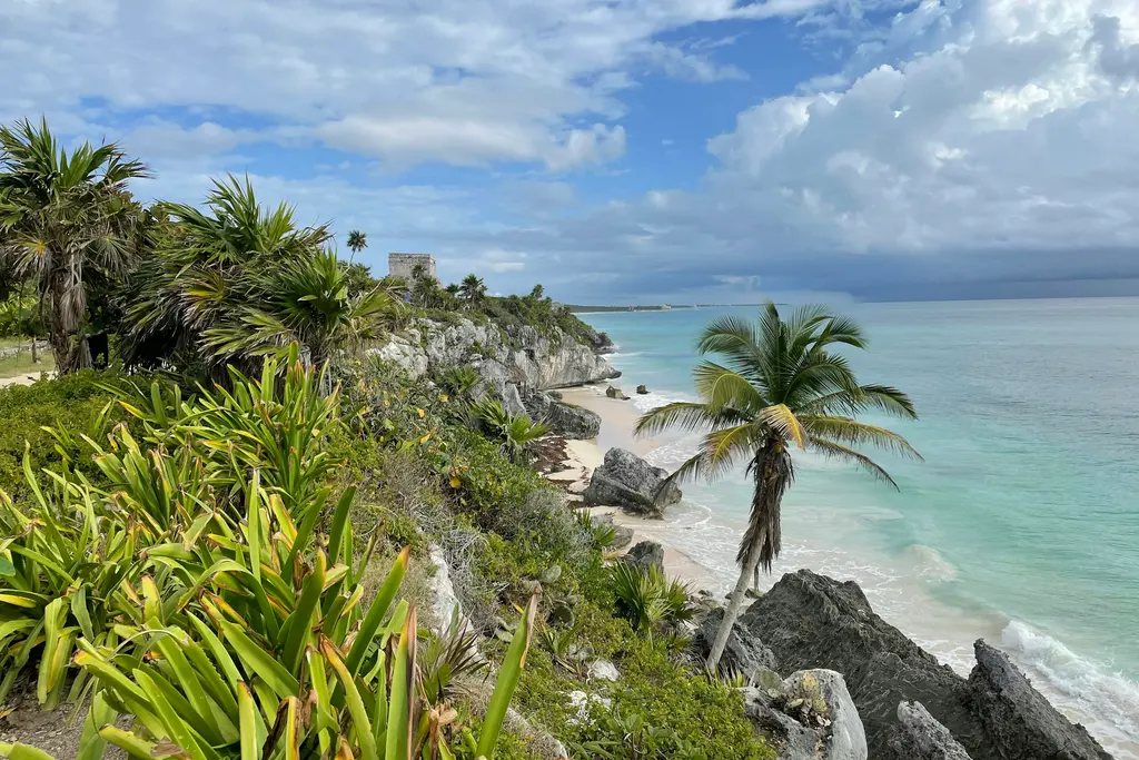 Tulum coast with palm trees and turquoise sea
