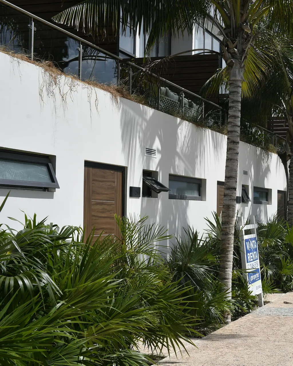 Palm-lined walkway at a hotel in Cancún